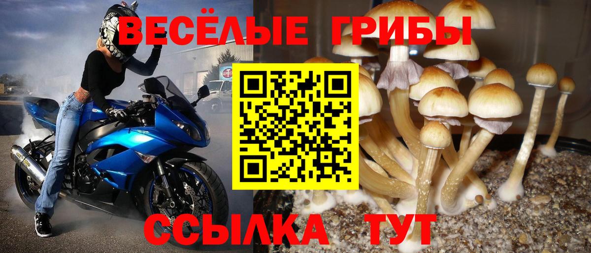 Назарово  Галлюциногенные грибы Psilocybe  Псилоцибиновые грибы мицелий  Вход с VPN 